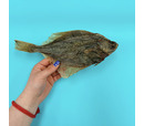 Just 'Ere Fot Treats - Flounder Fish - Single