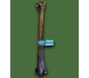 Anco Natural Ostrich Metasarus Bone