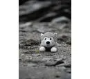 PetFace - Hitty Husky Plush Dog Toy