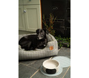 PetFace Moss Green Square Pet Bed