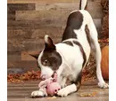 Bark - Hambone Dog Toy