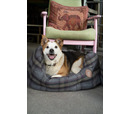 PetFace Grey Tweed Oval Pet Bed