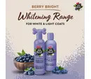 Pet Head Berry Bright Shampoo 300ml