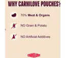 Carnilove Puppy Pouch - Salmon with Blueberries 300g