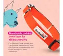 *10% OFF* Doodlebone Trendy Tails Padded Collar - Pastel Paint Splat 3-6