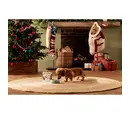 Forthglade Adult Christmas Turkey, Cranberry & Parsnip 395g