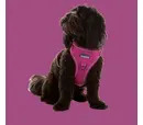 *10% OFF* Doodlebone Trendy Tails Stomp Harness - Thistle 3-5