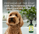 TropiClean Essentials Yuzu Oil Refreshing Spray for Dogs