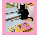 Axel's Elixir Cat - Salmon Happy Bones, Bone Broth (12 x 20g)