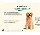 barkinBISTRO Biome Balance For Dogs