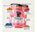 Sana Dog - Freshly Steam-Cooked Complete Pork with Buckwheat, Pumpkin and Blueberries 400g