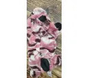 *10% OFF* KONG Low Stuff Stripes Pig Medium - Damaged