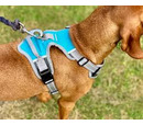 Henry Wag Dog Travel Harness