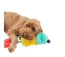 Joules Frog Dog Toy 