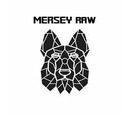 Mersey Raw 80:10:10 - Chicken & Pork 500g