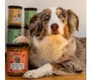 Sana Dog - Freshly Steam-Cooked Complete Lamb with Sweet Potato, Kale & Apple 400g