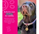 *10% OFF* Doodlebone Trendy Tails Padded Collar - Pastel Paint Splat 3-6