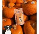 Just 'Ere Fot Treats - Freeze Dried Pumpkin Bites 35g