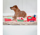 House of Paws Santa Paws Express Rope