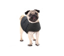 All For Paws Calm Paws Dog Anti Anxiety Vest