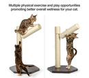 PetFusion - Branch Out Scratching Post
