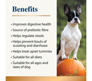 Karnlea Pumpkin Powder for Dogs 200g