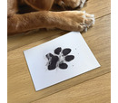 Oh So Precious - Paw Print Non-Toxic Ink Pad Standard 12.5cm