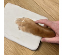 Oh So Precious - Paw Print Clay Mould and Photo Frame