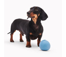 Beco Natural Rubber Ball Toy Blue