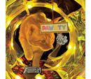 KONG Cat Play Spaces Rave Cave