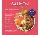 Fish4Dogs Finest Salmon Dog Tin - 395g