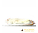Kiezebrink Large Rat (250-350g) Pack 5