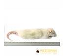 Kiezebrink Large Weaner Rat (60-90gm) Pack 5
