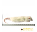 Kiezebrink Large Weaner Rat (60-90gm) Pack of 25