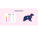 Doodlebone Originals Snappy Pattern Dog Harness Cherish The Stars 