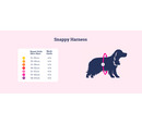 Doodlebone Original Snappy Dog Harness Ruby 