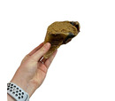 Nova Filled Peanut Butter Hooves - Single