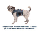 Ruffwear Web Master Harness Slate Blue