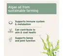 AniForte Algae Oil - 50ml