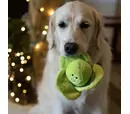 PetFace - Sprihaa Sprout Plush Christms Dog Toy