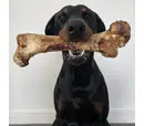 JR Ostrich Bone - Large