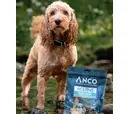 Anco Oceans - Dried Herring 10pk