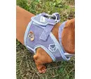*10% OFF* Doodlebone Dinky Dog Snappy Harness Size 1-2