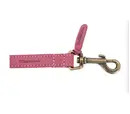 Ancol Timberwolf Leather Lead 