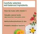 AniForte Immunity Snack