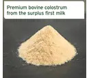 AniForte Premium Colostrum Powder for Dogs & Cats - 100g