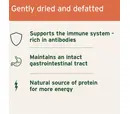 AniForte Premium Colostrum Powder for Dogs & Cats - 100g