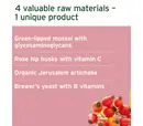 AniForte 4in1 Complete for Dogs 250g - Advanced Health Supplement