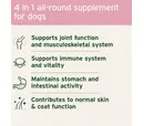 AniForte 4in1 Complete for Dogs 250g - Advanced Health Supplement