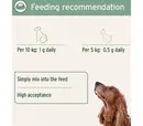 AniForte MSM Powder for Dogs & Cats 300g